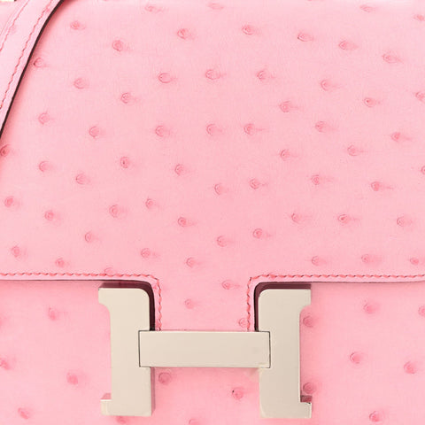 Ostrich Constance 18 Bubblegum