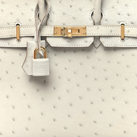 Ostrich Birkin Sellier 25 Gris Perle