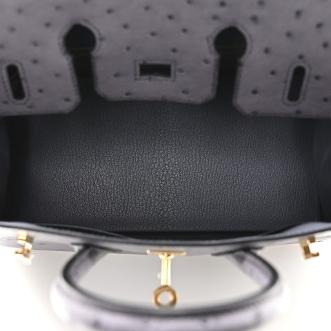 Ostrich Birkin 25 Gris Agate