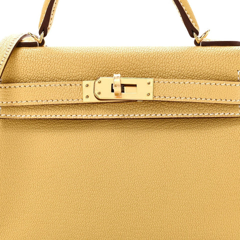 Chevre Mysore Mini Kelly Sellier 20 Foin