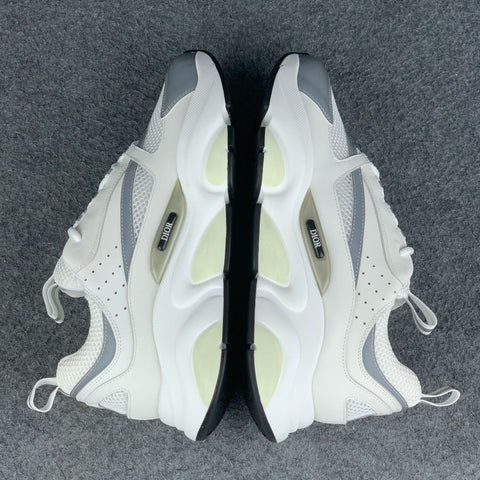 Dior B22 'White Grey'