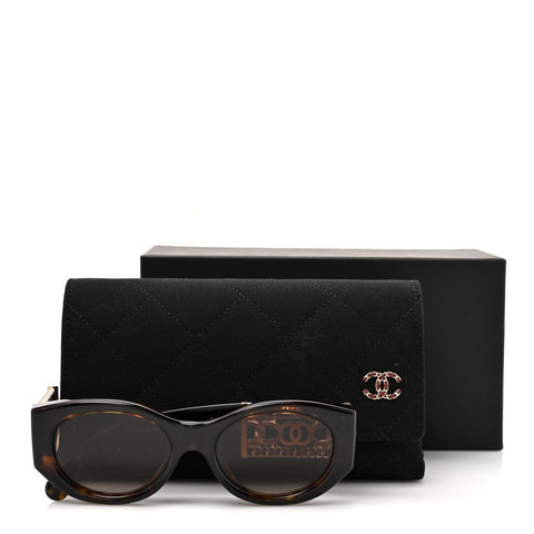 Acetate Calfskin Chain Polarized CC Sunglasses 5536-Q-A Tortoise