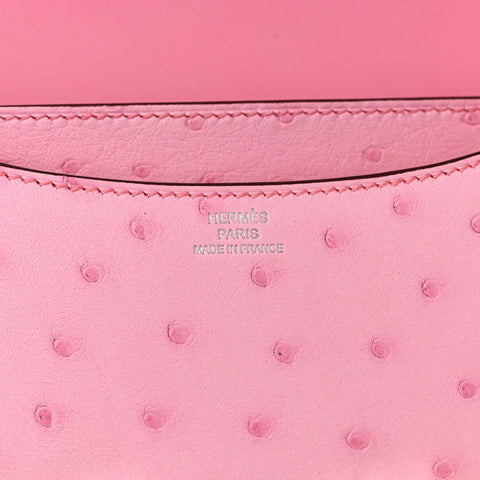 Ostrich Constance 18 Bubblegum