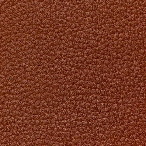 Chévre de Coromandel Plume 32 Gold