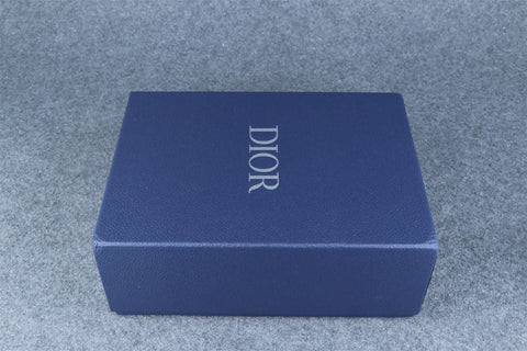 Dior B22 'Light Blue Orange'