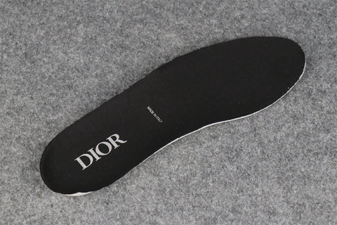 Dior B22 'Blue Silver'